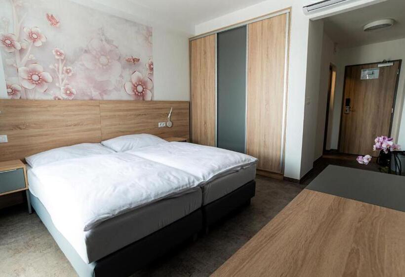 高级大房间, Ensana Spa Smrdáky