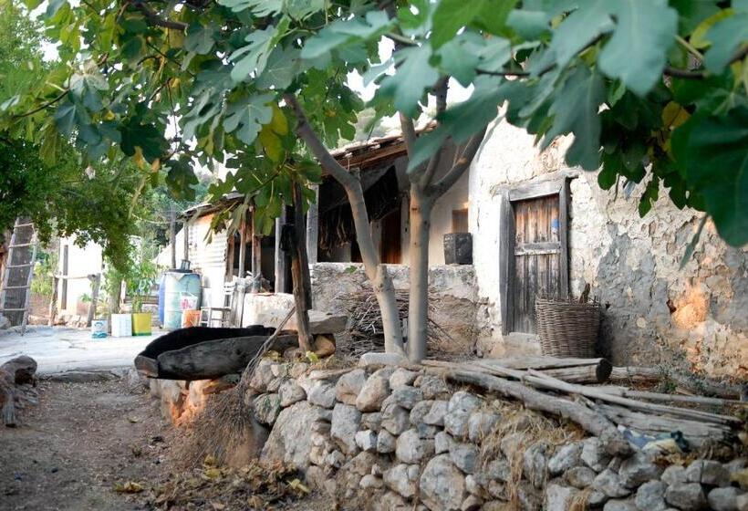 חדר סטנדרט, Exclusive Boutique