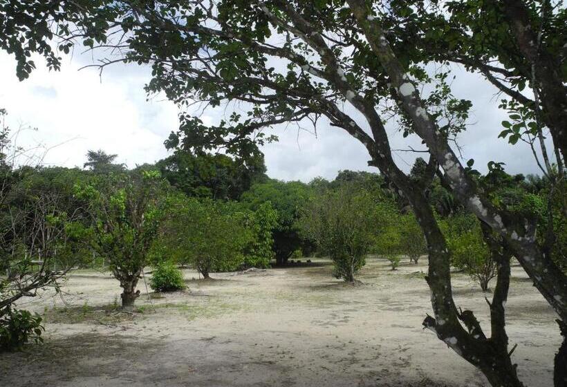 اتاق اکونومی, Sonja S Guesthouse