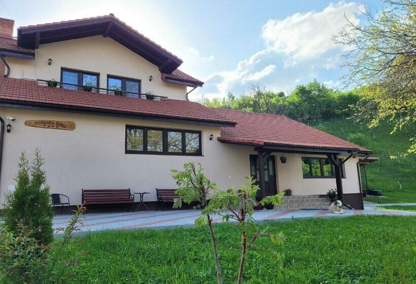 Вилла Superior 1 Спальня, Pensiunea Ioana