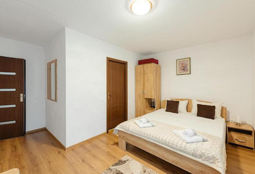 Номер Стандарт с Балконом, Pensiunea Ioana