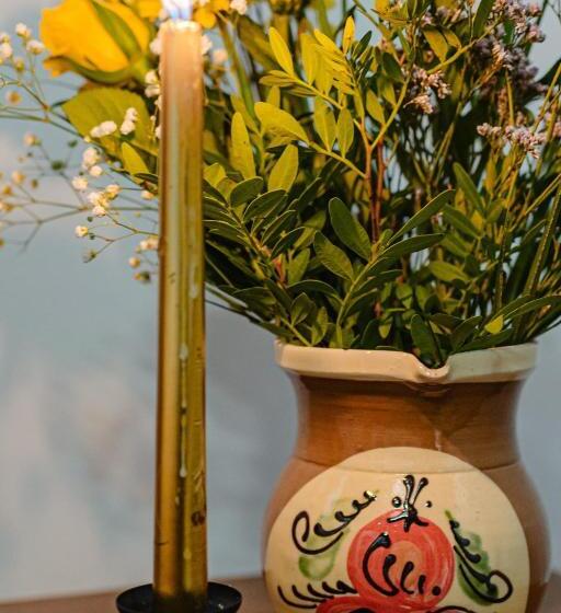 Номер Стандарт, Pensiunea Ioana