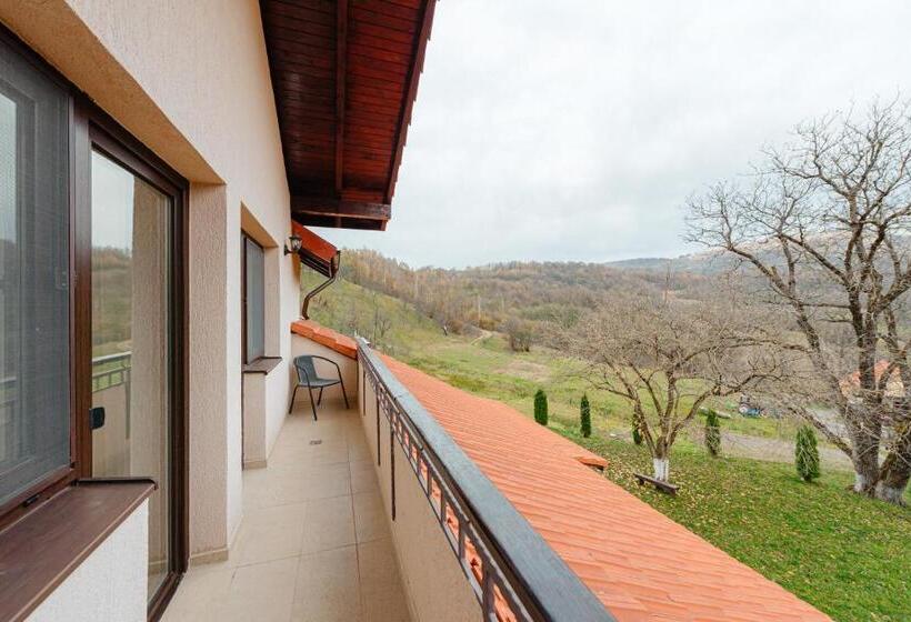 Вилла Superior 1 Спальня, Pensiunea Ioana