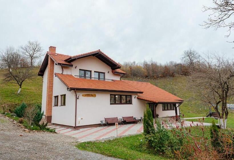 Вилла Superior 1 Спальня, Pensiunea Ioana