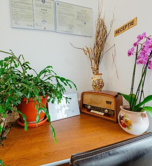 Вилла Superior 1 Спальня, Pensiunea Ioana