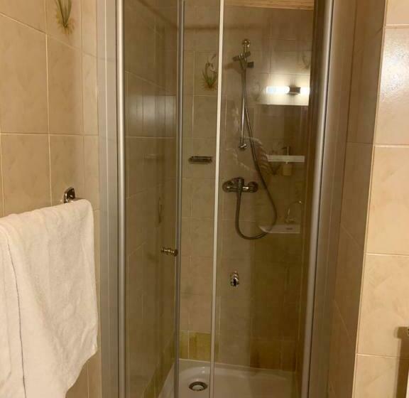 带阳台的标准单人间, Gasthof Pension Renate Krupik