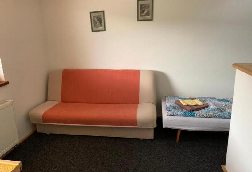 패밀리 룸, Miroslav Bednár Bedomir