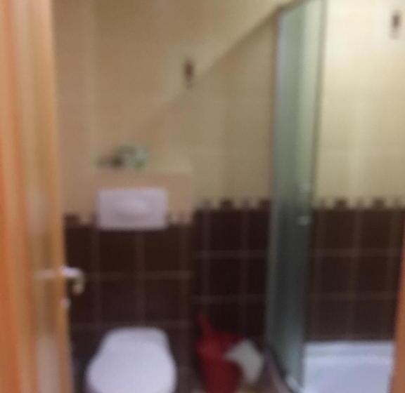 标准间, Miroslav Bednár Bedomir