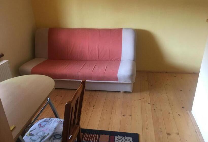 标准间, Miroslav Bednár Bedomir