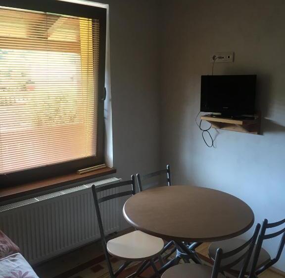 标准三人间, Miroslav Bednár Bedomir