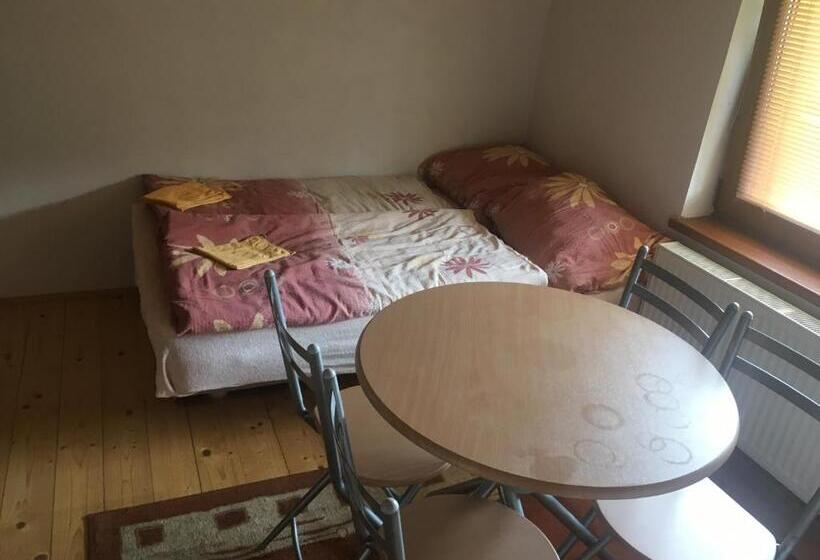 标准三人间, Miroslav Bednár Bedomir