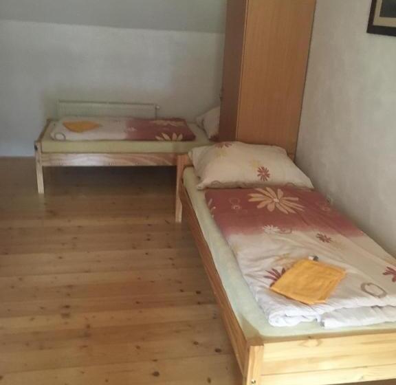 标准三人间, Miroslav Bednár Bedomir