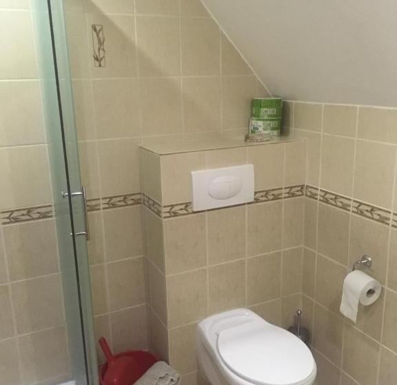 标准三人间, Miroslav Bednár Bedomir