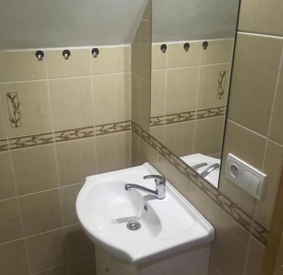 标准三人间, Miroslav Bednár Bedomir