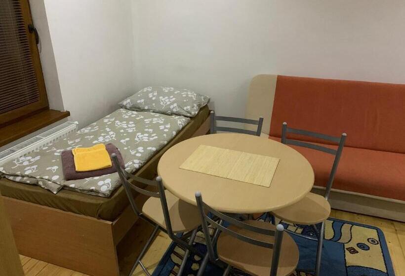 标准三人间, Miroslav Bednár Bedomir