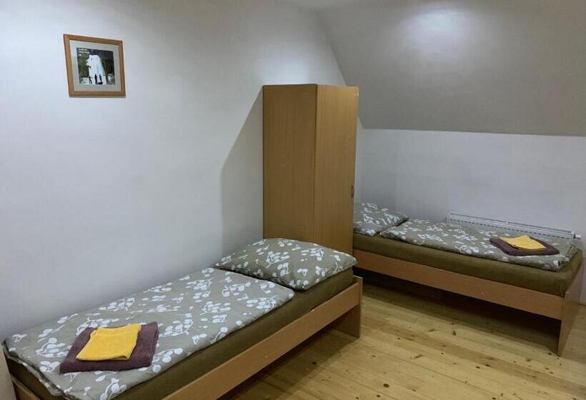 标准三人间, Miroslav Bednár Bedomir