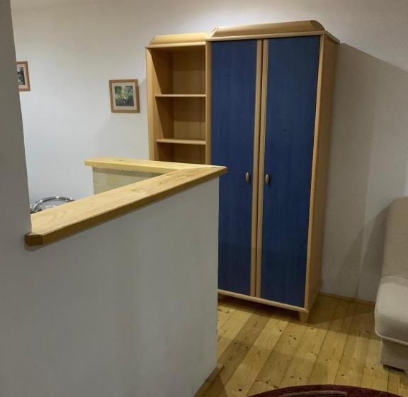 标准间, Miroslav Bednár Bedomir