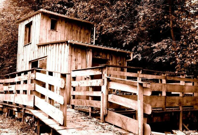 شاليه غرفة نوم واحدة, La Cabane