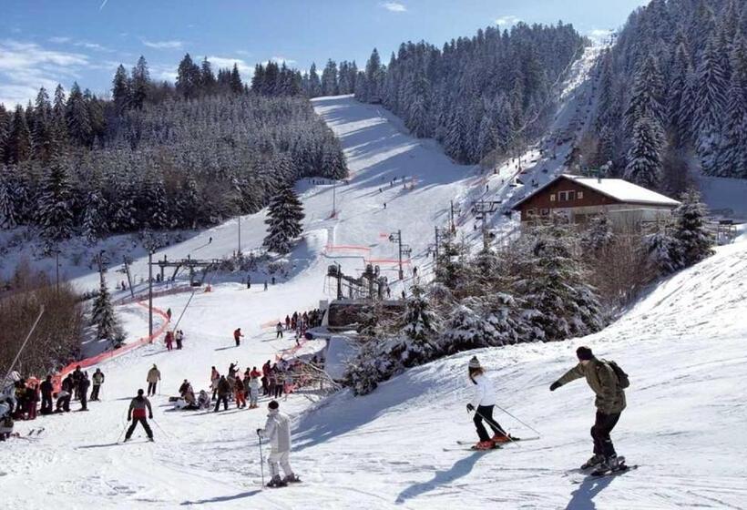 جناح سوبيريور غرفتين نوم, Domaine Des Arts