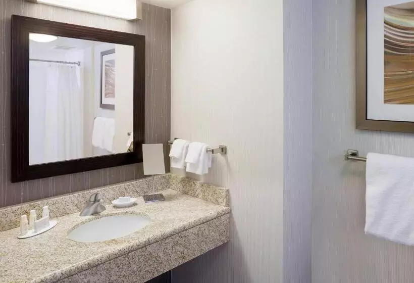 اتاق استاندارد با تخت بزرگ, Courtyard Providence Downtown