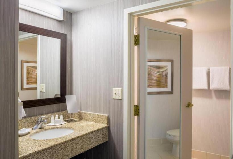 Номер Стандарт Кровать Кинг Адаптированный для Инвалидов, Courtyard Providence Downtown