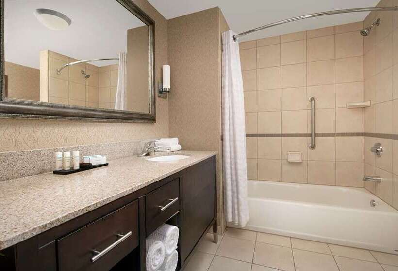 프리미엄 룸, Embassy Suites By Hilton Huntsville