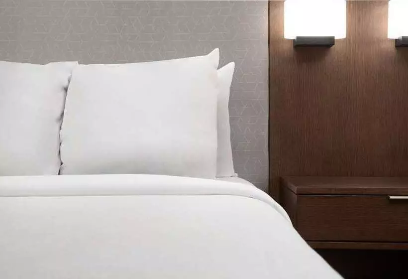 سوئیت با تخت بزرگ, Embassy Suites By Hilton Huntsville