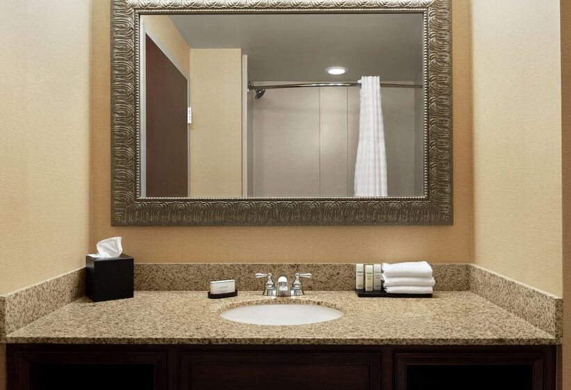 프리미엄 스위트, Embassy Suites By Hilton Huntsville