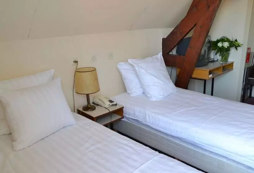 浴室共有のエコノミールーム, Fletcher Hotel De Zalm