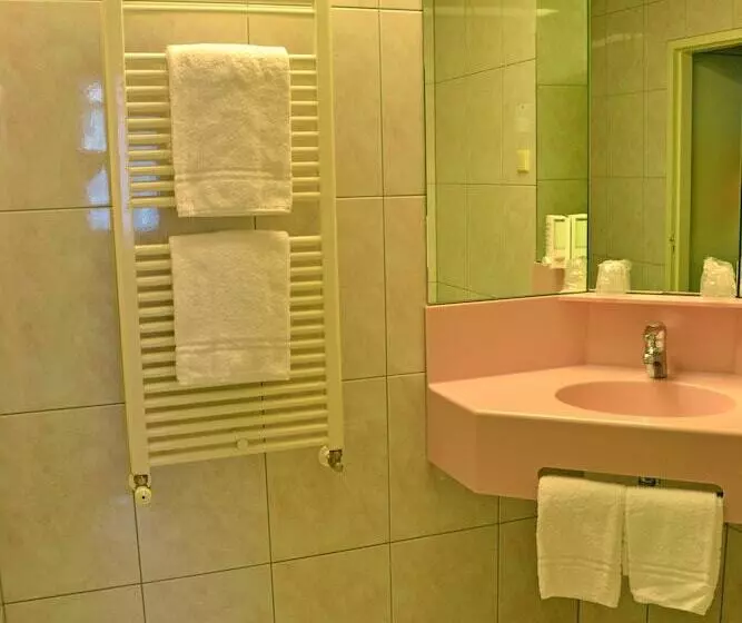 コンフォートルーム, Fletcher Hotel De Zalm