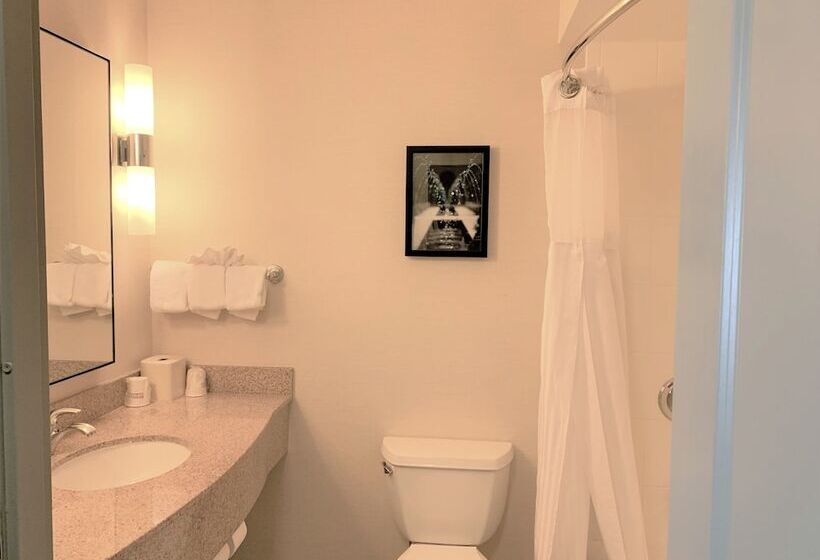 סוויטה, Hilton Garden Inn Albany Medical Center