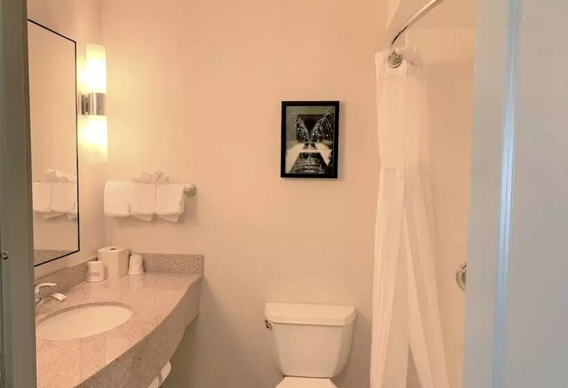 سوییت, Hilton Garden Inn Albany Medical Center