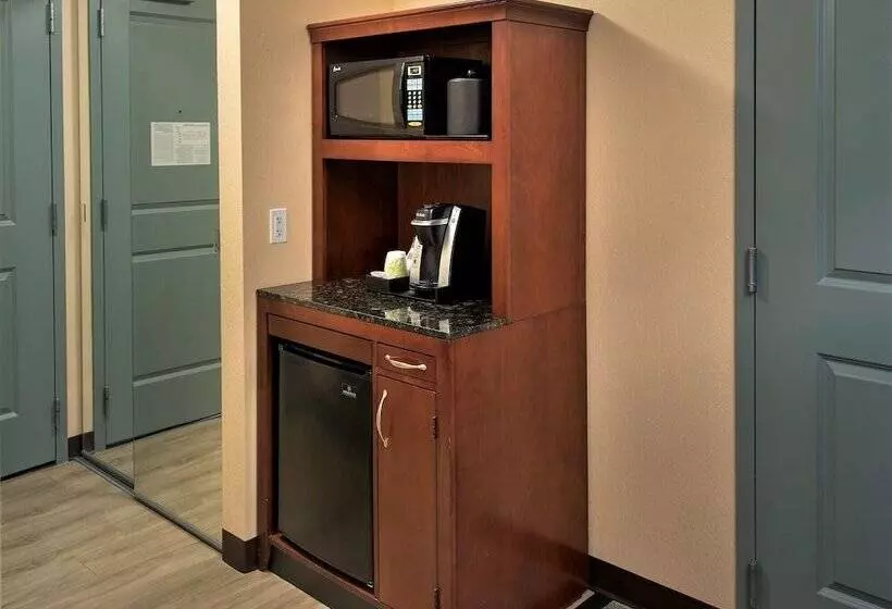 سوییت, Hilton Garden Inn Albany Medical Center