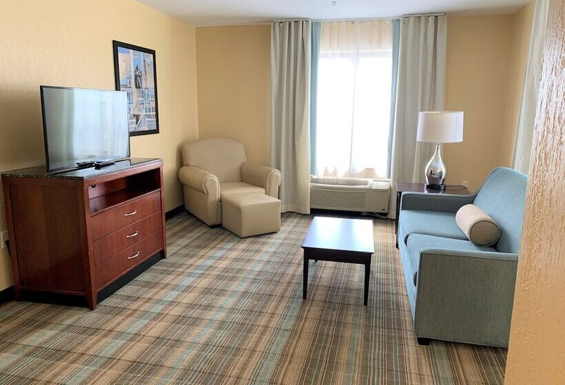 סוויטה, Hilton Garden Inn Albany Medical Center