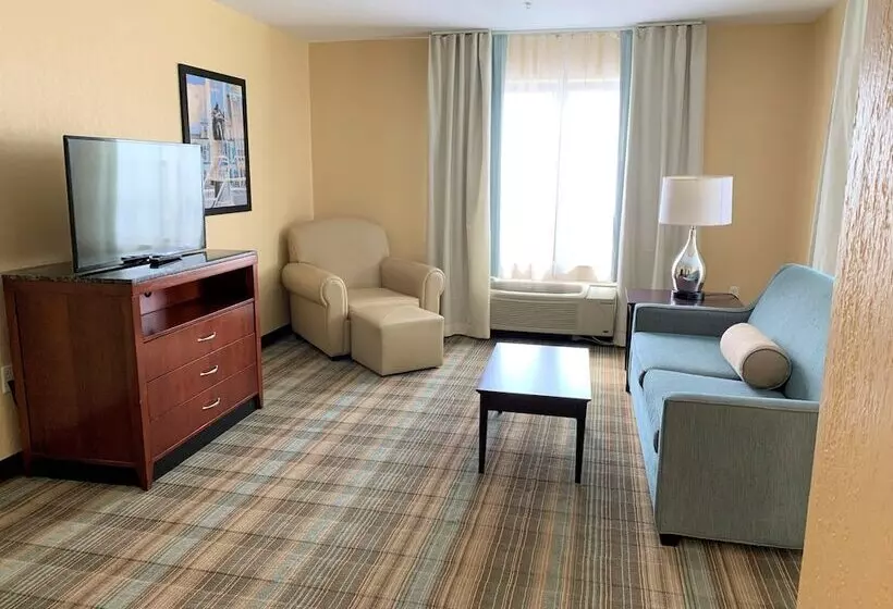 سوییت, Hilton Garden Inn Albany Medical Center