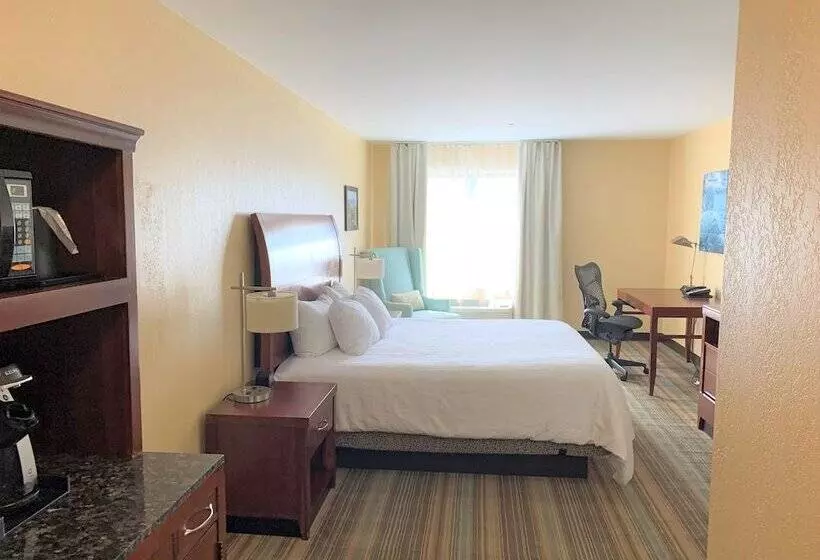 سوییت, Hilton Garden Inn Albany Medical Center