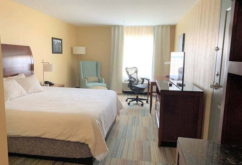 סוויטה, Hilton Garden Inn Albany Medical Center