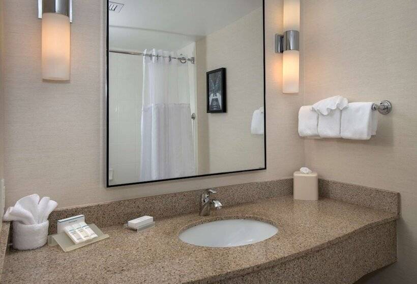 디럭스 스위트, Hilton Garden Inn Albany Medical Center