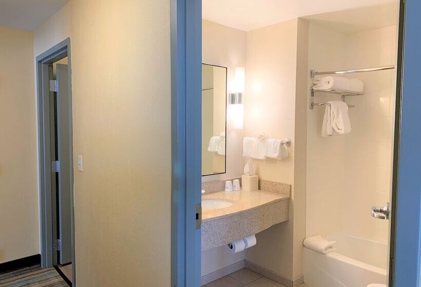 סוויטה דלוקס, Hilton Garden Inn Albany Medical Center