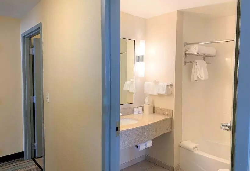 سوییت لوکس, Hilton Garden Inn Albany Medical Center