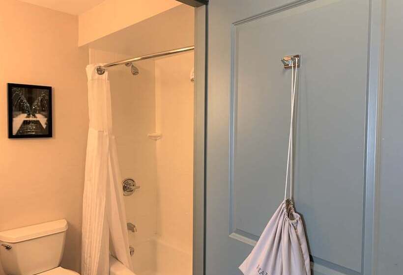 סוויטה דלוקס, Hilton Garden Inn Albany Medical Center