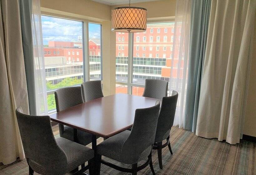 סוויטה דלוקס, Hilton Garden Inn Albany Medical Center