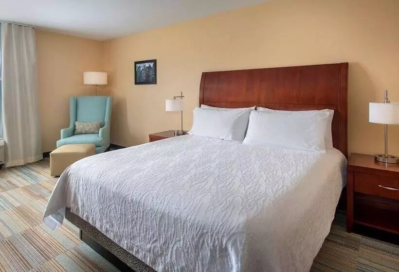 سوییت, Hilton Garden Inn Albany Medical Center