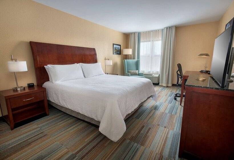 סוויטה דלוקס, Hilton Garden Inn Albany Medical Center