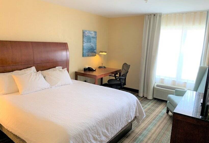 סוויטה דלוקס, Hilton Garden Inn Albany Medical Center