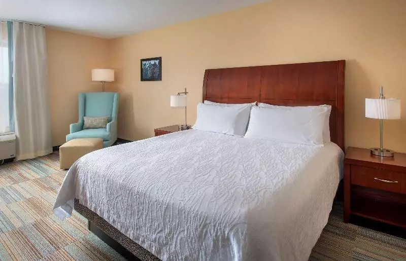 اتاق استاندارد با تخت بزرگ, Hilton Garden Inn Albany Medical Center