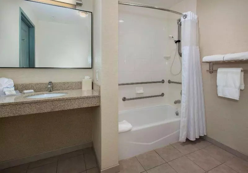 اتاق استاندارد با تخت بزرگ, Hilton Garden Inn Albany Medical Center
