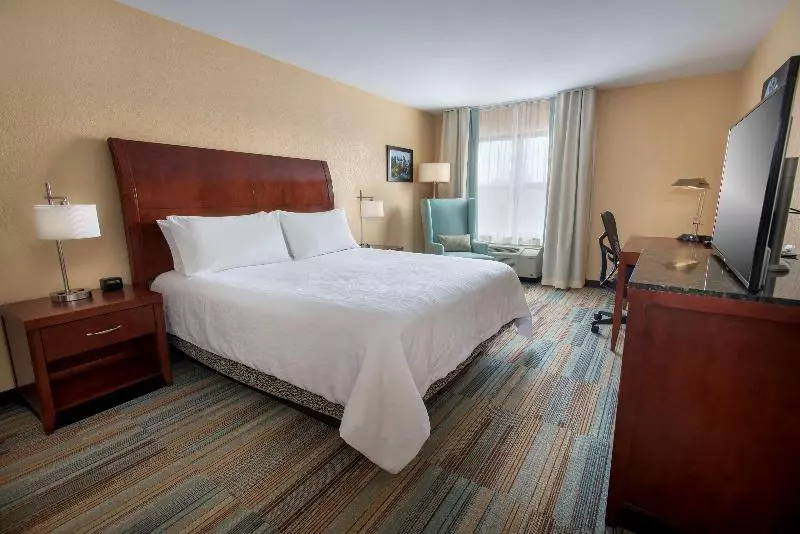 اتاق استاندارد با تخت بزرگ, Hilton Garden Inn Albany Medical Center