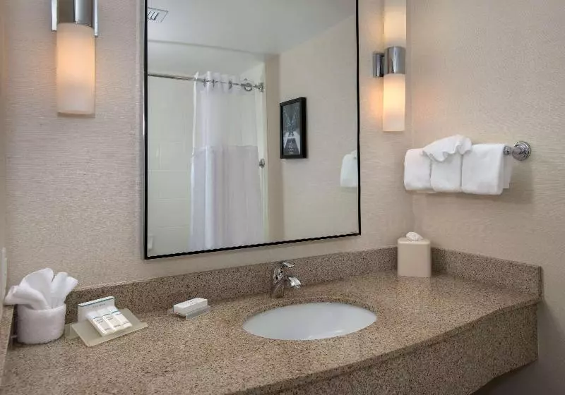 اتاق استاندارد با تخت بزرگ, Hilton Garden Inn Albany Medical Center