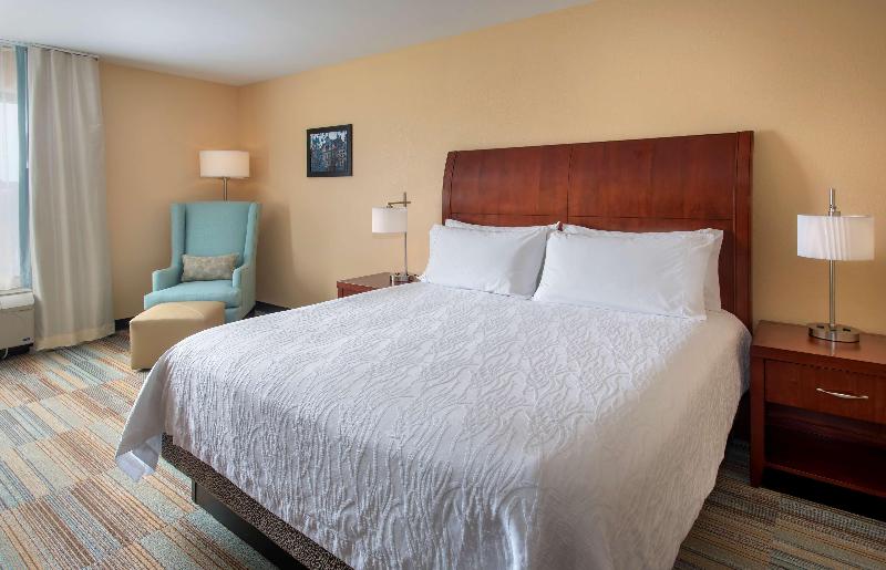 디럭스 스위트, Hilton Garden Inn Albany Medical Center